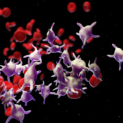 Χαμηλά αιμοπετάλια