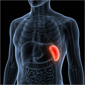 Σπληνομεγαλία, διογκωμένος σπλήνας