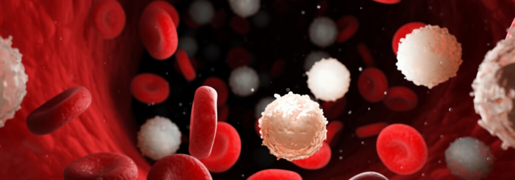 λεμφοκύτταρα, λευκά αιμοσφαίρα λευκα και ερυθρα αιμοσφαιρια