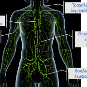 Απεικόνιση λεμφαδένων στο ανρθρώπινο σώμα