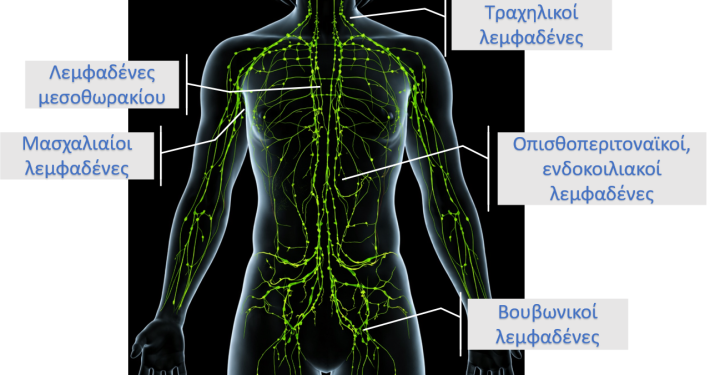 Απεικόνιση λεμφαδένων στο ανρθρώπινο σώμα
